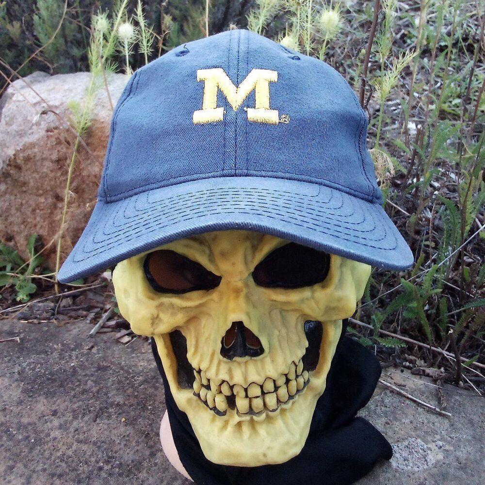 Vintage 90s Michigan Wolverines Snap Back Hat Back Hit